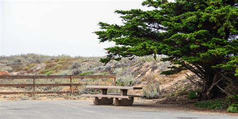 Fort Ord Dunes State Park Outdoor Project