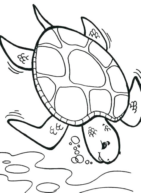 All told, the shell comprises some 50 different bones. Sea Turtle Printable Coloring Pages at GetColorings.com ...