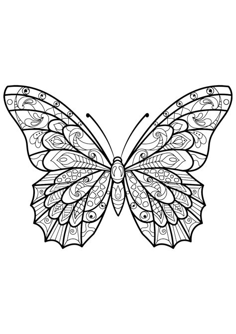 Butterfly Beautiful Patterns 3 Butterflies And Insects Adult Coloring