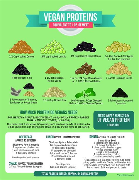The Definitive Guide To The 12 Best Vegan Protein Sources Yuri Elkaim