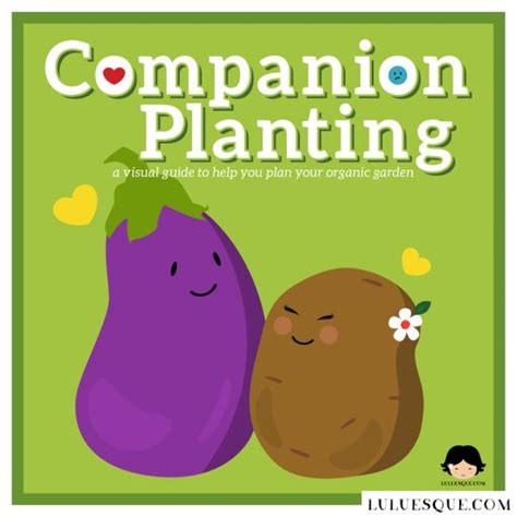 Companion Planting Friend Or Foe Luluesque Companion