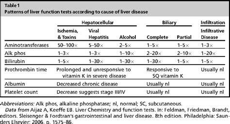 Liver Function Test Interpretation Table Decoration Examples