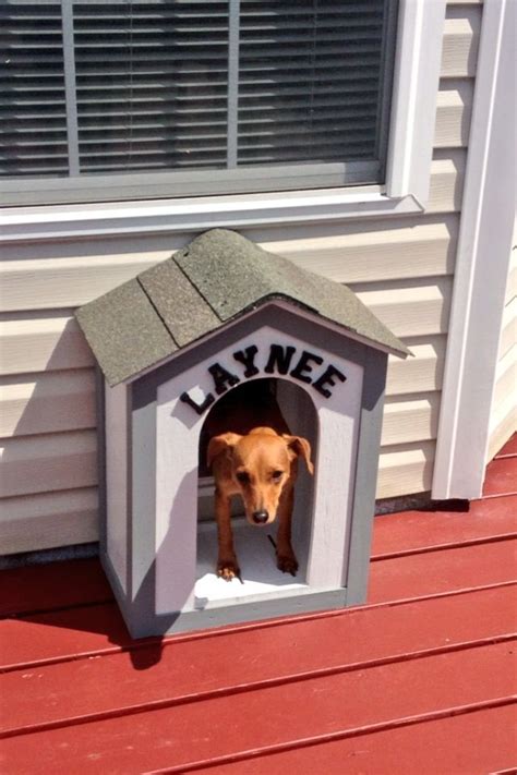 Dog Door Entrance to House #petdogyorkie | Dog door, Diy dog stuff, Dog