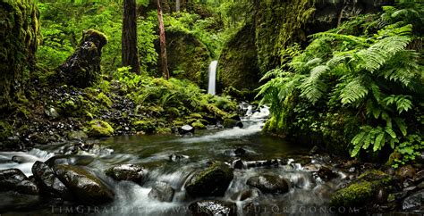 Mossy Grotto Falls Columbia River Gorge Hood River County Oregon
