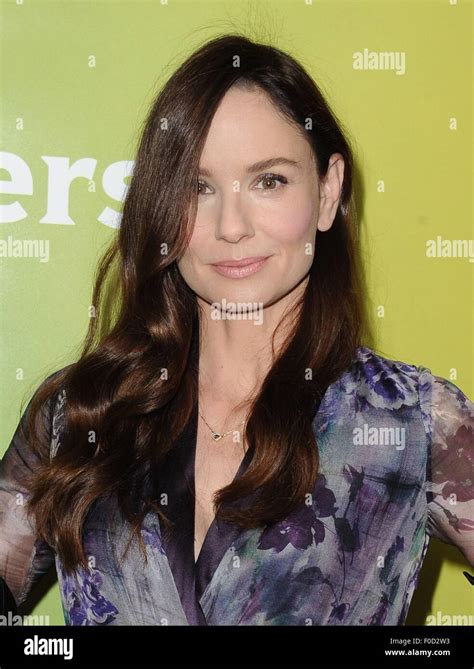 Beverly Hills Ca 12th Aug 2015 Sarah Wayne Callies At Arrivals For