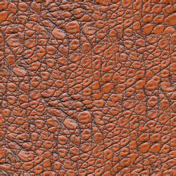 Free high quality textures by ShareTextures - animal_skin_1-diffuse.png