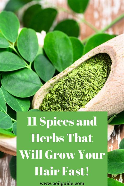 11 Spices And Herbs That Make Your Hair Grow — Coil Guide