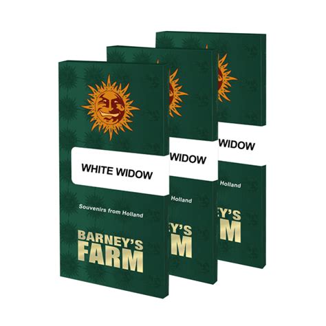 Barneys Farm White Widow Feminized 3510 Seeds Bushplanet