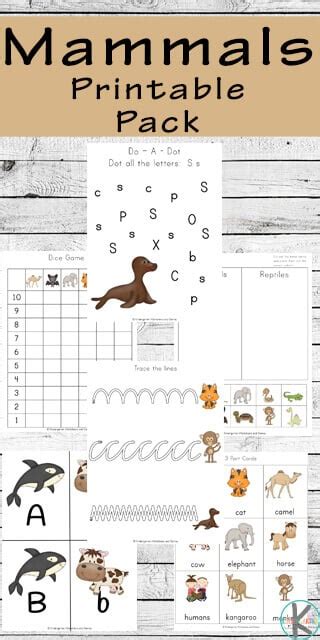 Mammals Worksheet Grade 2