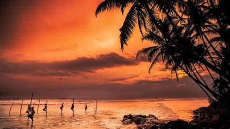 Sri international (formerly stanford research institute) is organized around broad disciplines and capabilities, from research and development divisions and labs to. Reportajes y crónicas de viajes a Sri Lanka en National ...