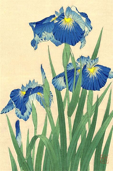 Japanese Art Flowers Floral Plants Botanical Art Prints Posters