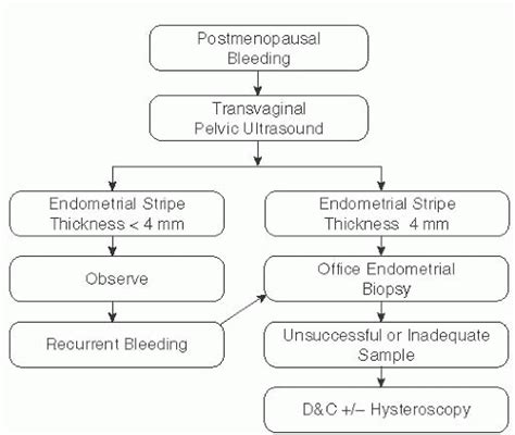 If you've gone through menopause, you shouldn't have any menstrual bleeding. Endometrial Cancer | Obgyn Key