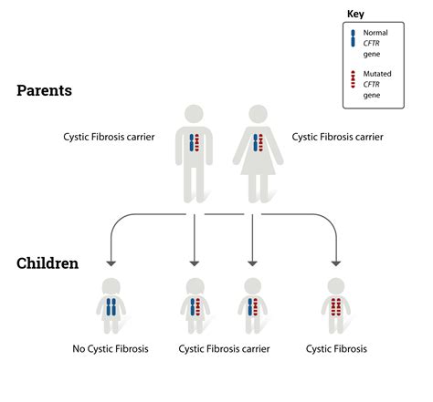 Cystic Fibrosis Causes Signs Symptoms Diagnosis And T Vrogue Co