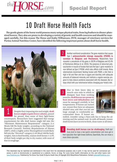 10 Draft Horse Health Facts The Horse