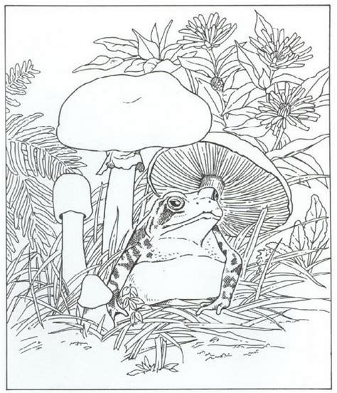 Kids-n-fun | 40 Kleurplaten van Natuur rondom het huis Coloring pages can help them get out of their boring routines, to.