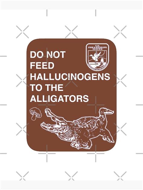 Do Not Feed Hallucinogens To The Alligators Funny Meme Quote Poster