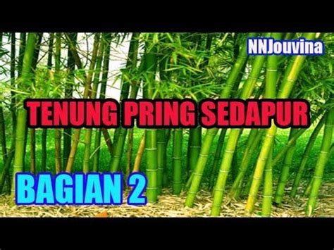 Bramyang mungkin ada video lama yang belum sempet di tonton.kawan kawan bisa liat. Gambar Pring Sedapur : Asal Usul Hantu Pring Sedapur ...