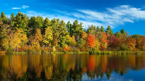 Fall Forest River Nature Trees Landscape Water Reflection Wallpapers Hd Desktop And
