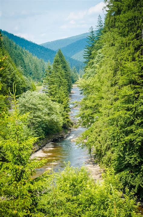 The River Flows Between Green Mountains With Tree Stock Photo Image