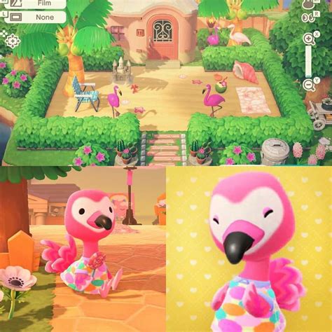 In past animal crossing games, buck was scared of the werewolf hood during the halloween event. Flora's home in 2020 | Animal crossing, Flora, Animals