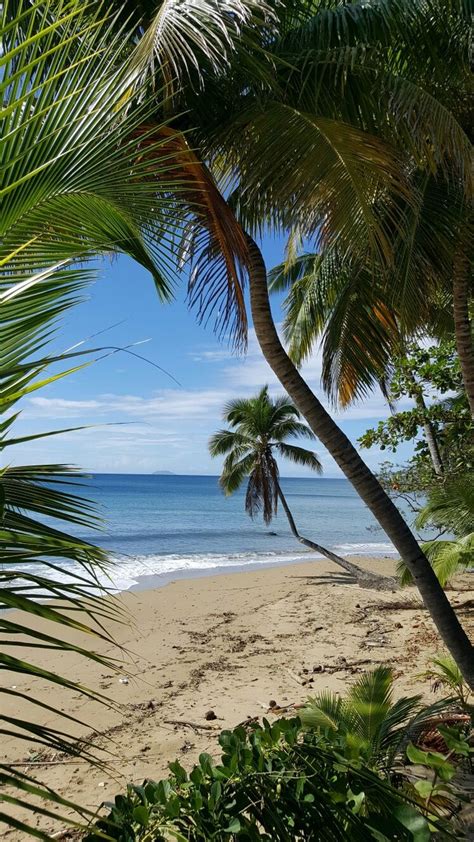 Rincón Puerto Rico Summer Beach Pictures Ocean Photography Scenery