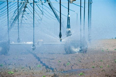 Modern Agricultural Irrigation System Spraying In Field Stock Image Image Of Spray Irrigate
