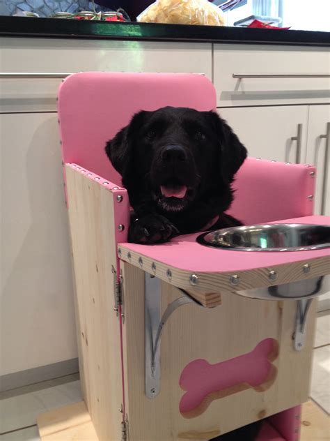 Bailey Chair For Dogs With Canine Megaesophagus Baileychairs4dogs