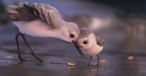 We did not find results for: 'Piper' is Pixar's best short film - Business Insider
