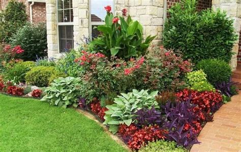 20 Low Maintenance Plants For Front Yard Landscaping For Effortless Beauty