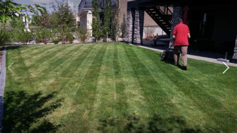 Calgary Lawn Mowing Services Yard Busters Landscaping