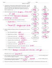 Meiosis vs mitosis worksheet key. Mitosis vs Meiosis Worksheet - flattened.pdf - Name Period ...