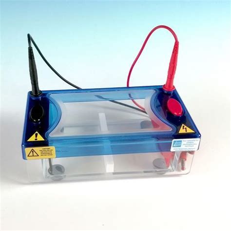 agarose gel electrophoresis chamber bfa biotec fischer benchtop