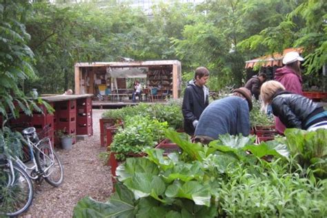 Discover prinzessinnengarten in berlin, germany: Городской сад Prinzessinnengarten или мобильный сад-огород ...