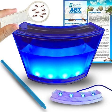 Buy Evviva Ant Habitat W Led Light Enjoy A Magnificent Habitat Great