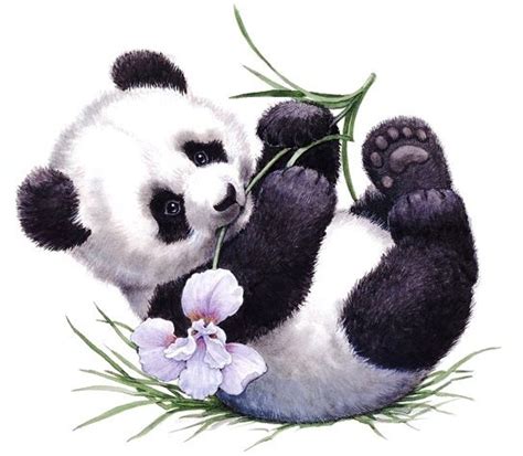 Printable Panda Ruth Morehead Baby Panda Bears Panda Painting