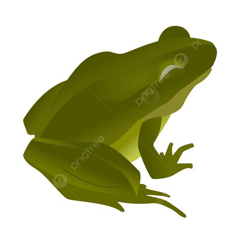 Vector Clip Art Of Frog Or Toad Frog Toads Animal Png And Vector