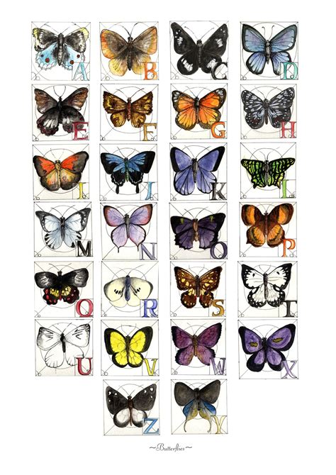 Butterfly Alphabet Letter Fonts