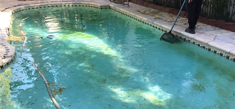 Pool Algae Removal treatment in Las Vegas | Pool Algae ...