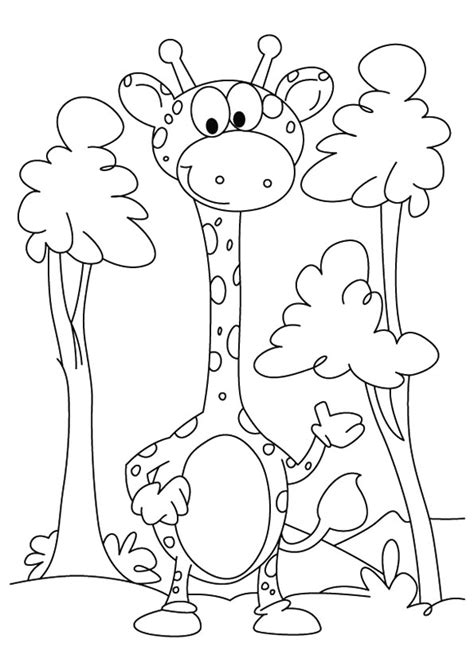 Baby Giraffe Among The Trees Coloring Page Free Printable Coloring