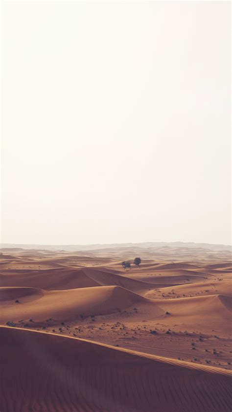 Desert Nature Iphone Wallpaper