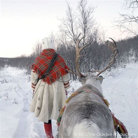 Bbc Earth On Instagram Sami Reindeer Herders In The Arctic © Bbcthe