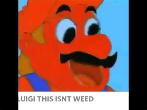 Shaggy This Isn T Weed Memes