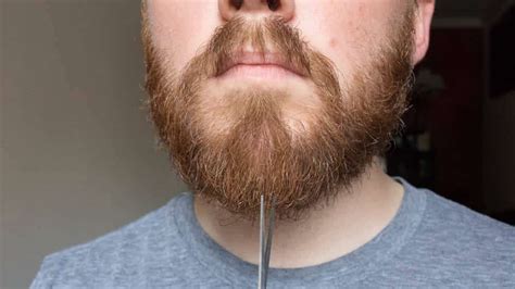 How To Trim A Beard With Scissors And Not Screw It Up