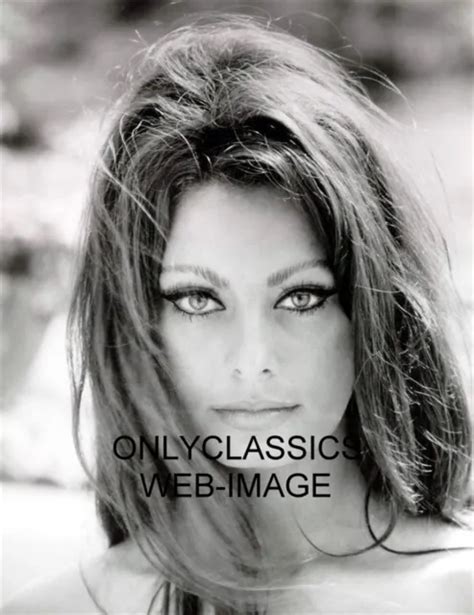 Sexy Eyes Beautiful Hair Sophia Loren Portrait Photo Print Pinup My