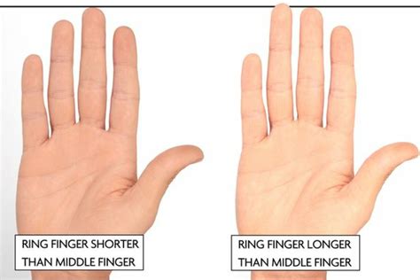 what it means when a man s ring finger is longer than his pointer finger iheart