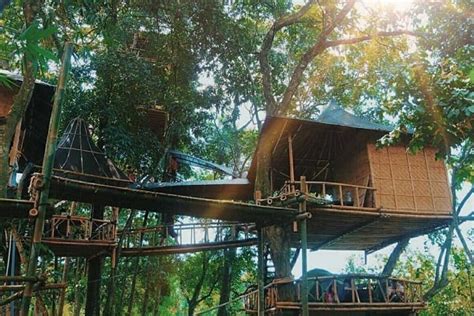 wisata edukatif rumah pohon temega  kreatif  atraktif
