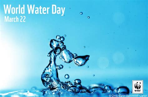 On 22 march, 2021, world water day will be celebrated in an online event. 30 Adorable World Water Day Pictures And Images