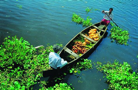 Kerala tourism garners global attention | Media India Group