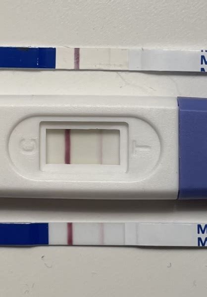 Pregnancy Test Line Not Getting Darker 17dpo With Pic Mumsnet