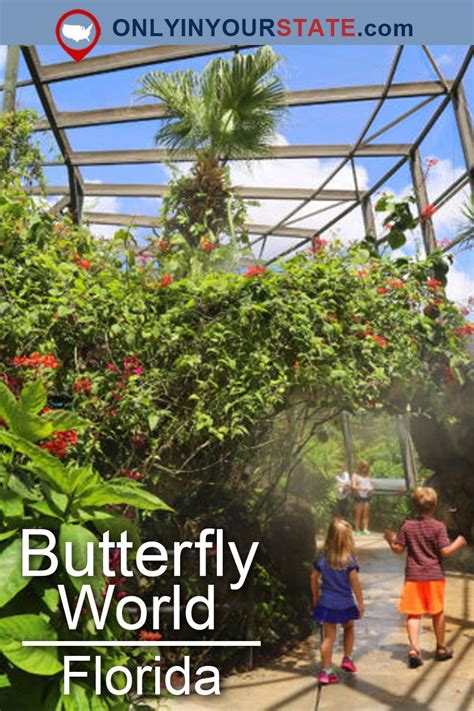 The Worlds Largest Butterfly Park Is Right Here In Florida And Youll